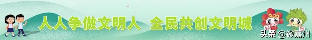 乐山市市中区政务中心咨询电话,乐山市审批局电话