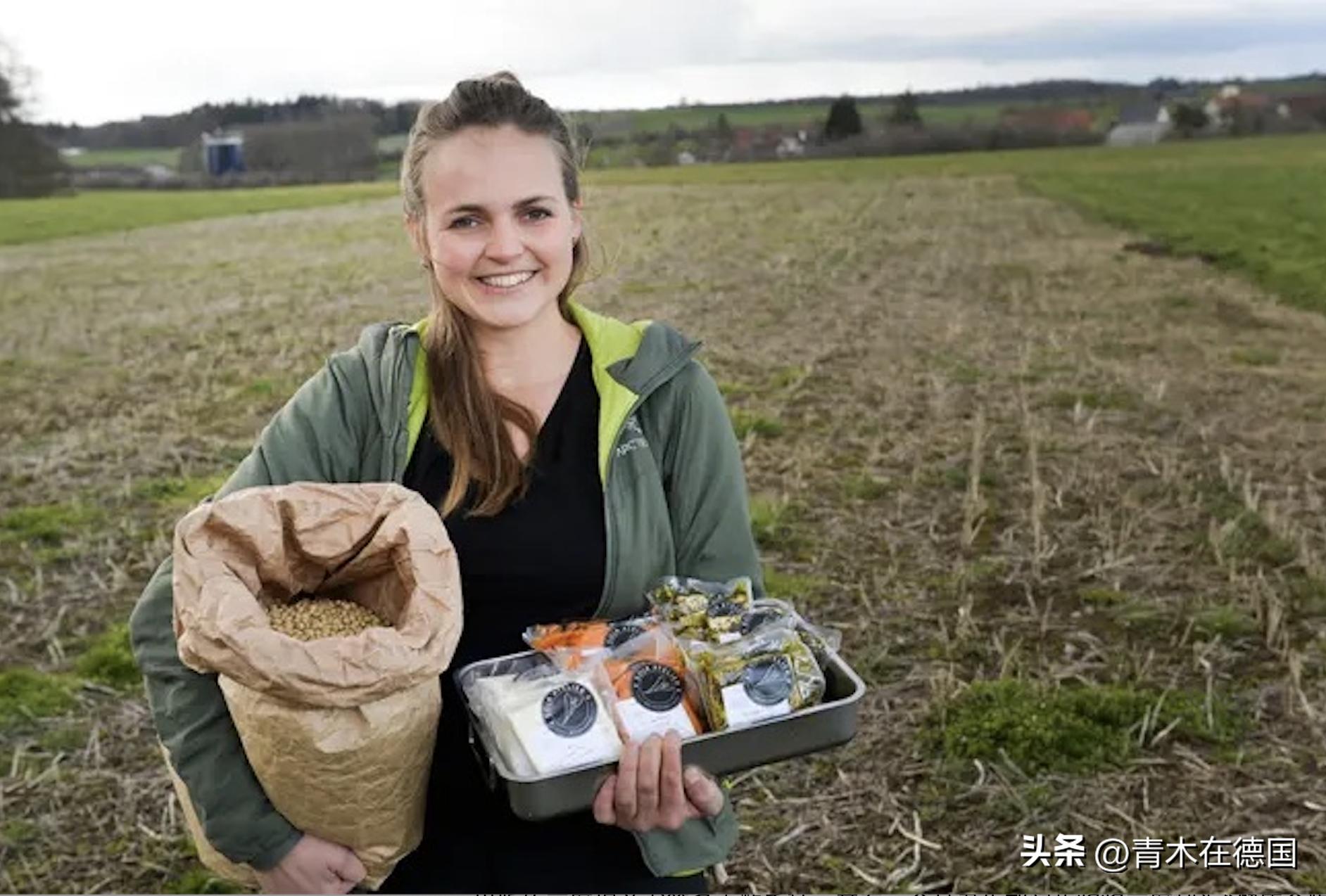 豆腐远销海外,德国制造豆腐