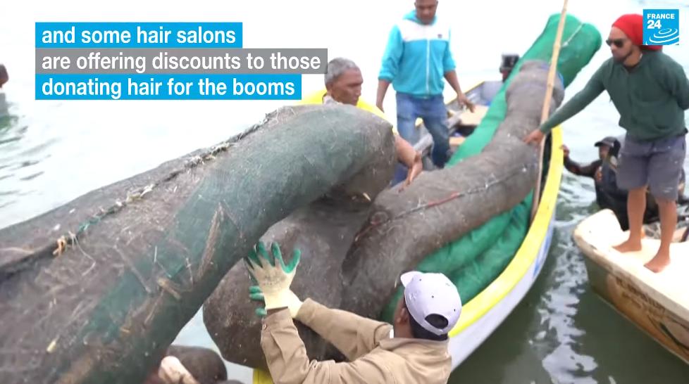 用头发可以清理石油爆上热搜!秃头网友狂喜:哈哈天生我材必有用