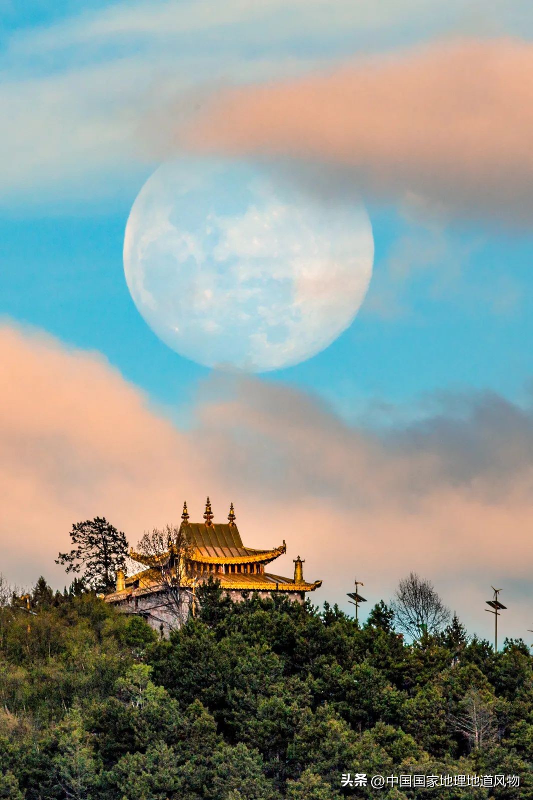 我国哪里盛产火龙果,全国最大的火龙果基地是哪里