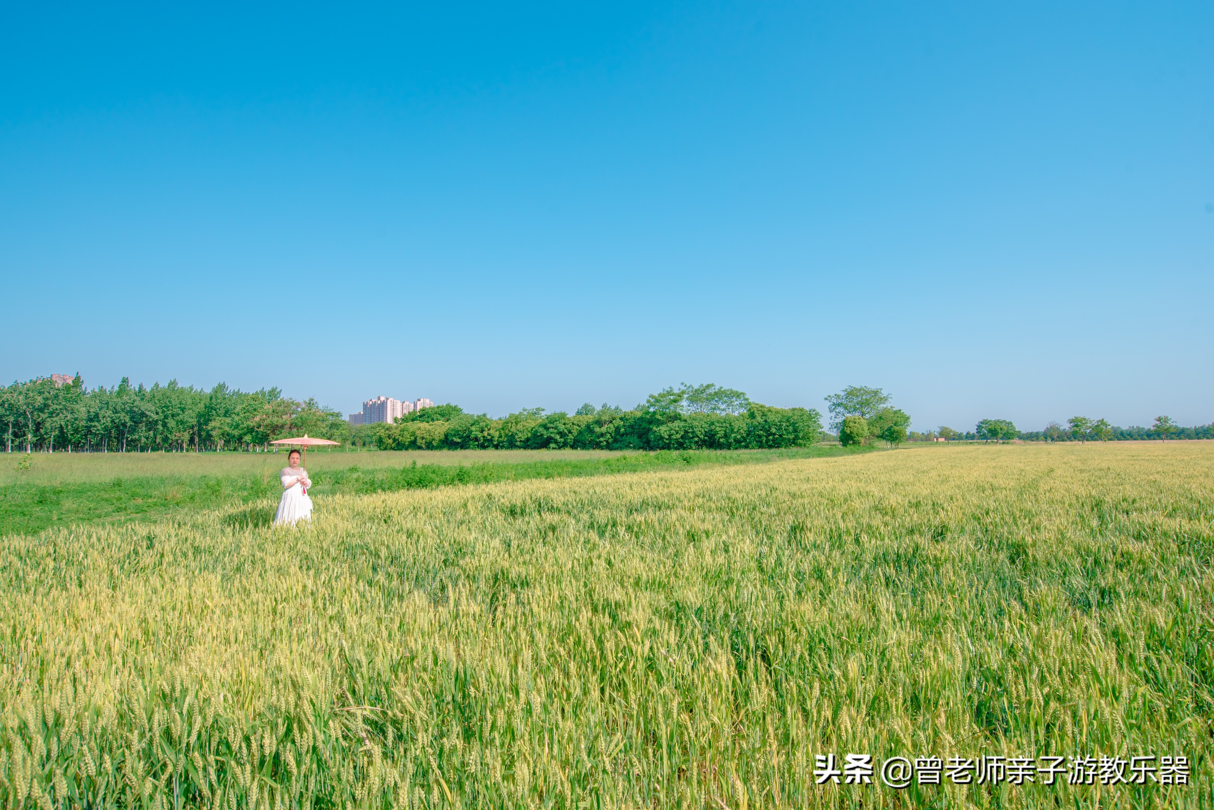 汉长安城未央宫遗址公园露营电话,汉长安城遗址公园露营最新