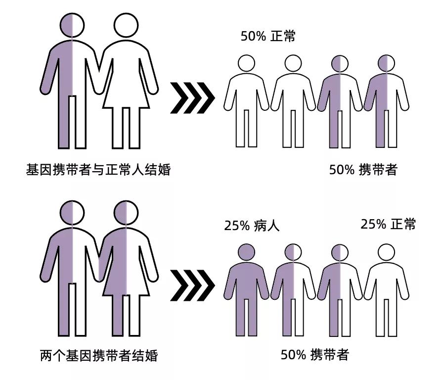 aa和aa生出的孩子是健康的吗,aa和aa生出来的孩子什么血型