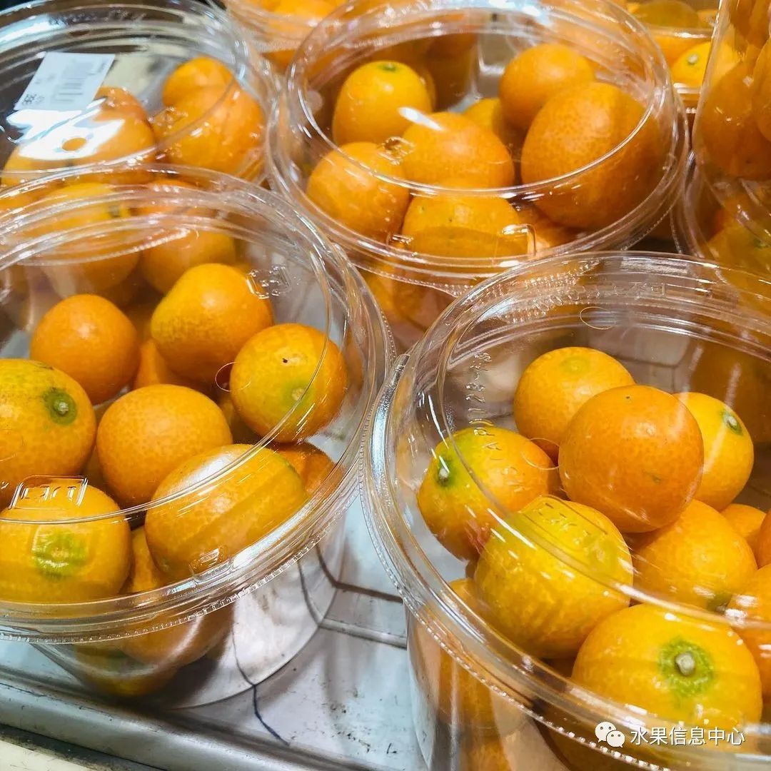 金桔产地视频,金桔多少个品种