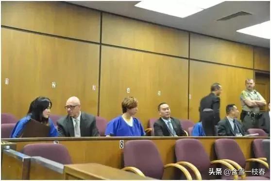 留美中国学生霸凌女同学案后续,留美学生虐待同学被判刑