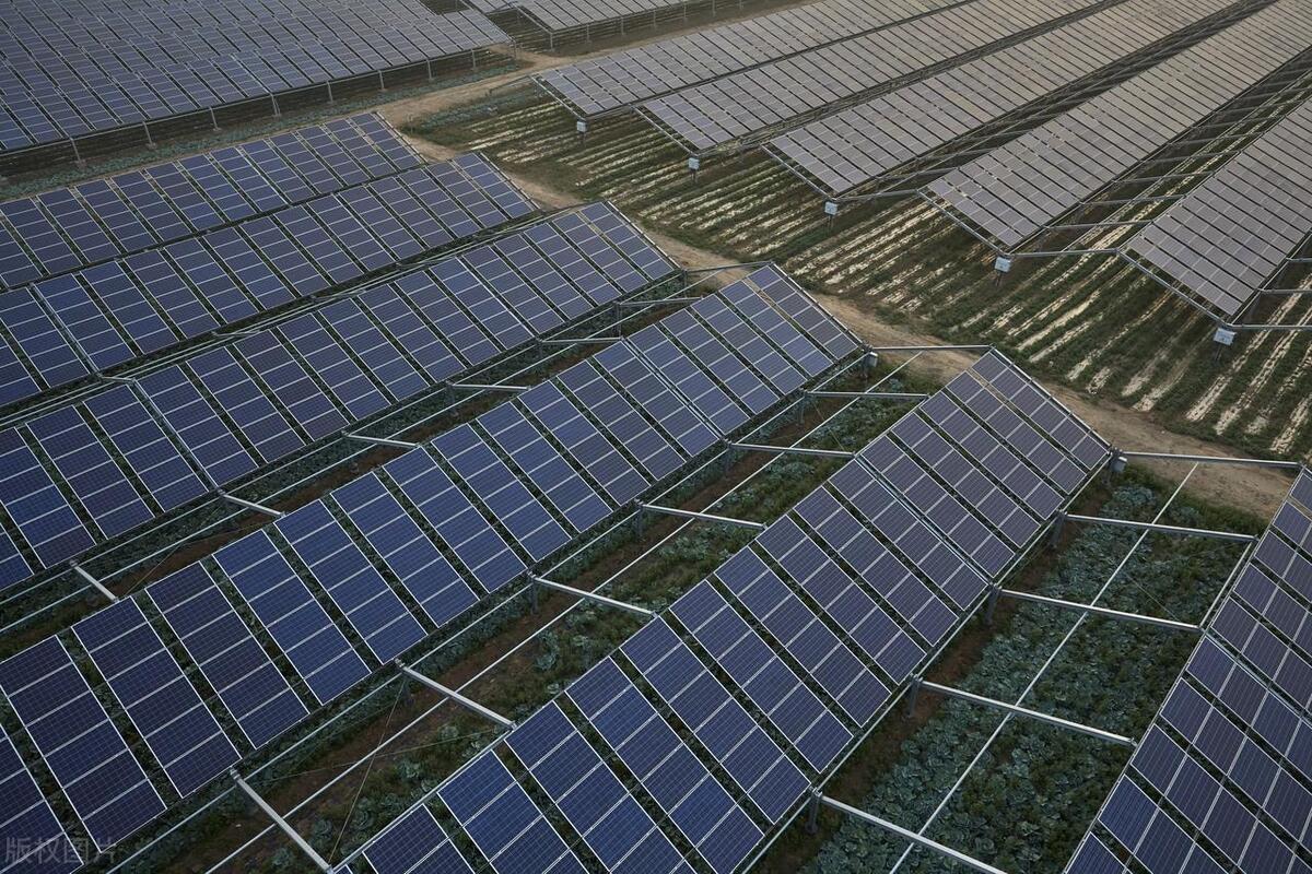 农村致富机会有哪些,农村村民致富好项目有哪些