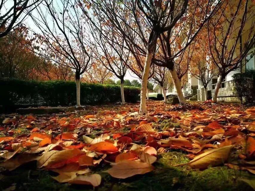 江西外语外贸职业学院地图,江西外语外贸职业学院院校