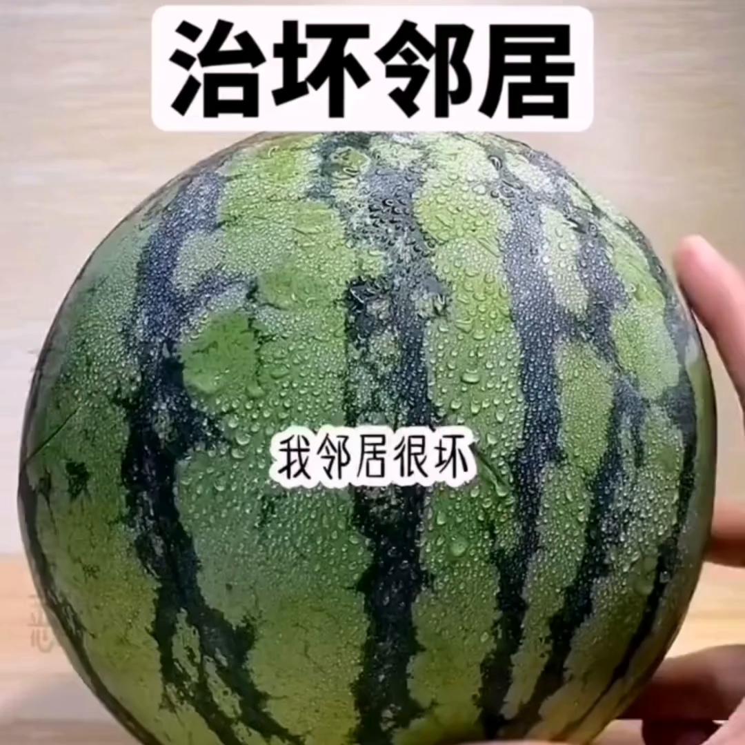 小说推荐无敌流爽文小说,整治坏邻居小说