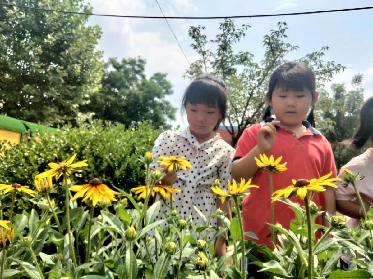 盛夏如花、向阳如初--道朗镇鱼池幼儿园赏花集锦