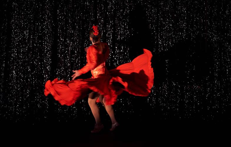 西班牙最顶级弗拉门戈舞,弗拉门戈风格是什么