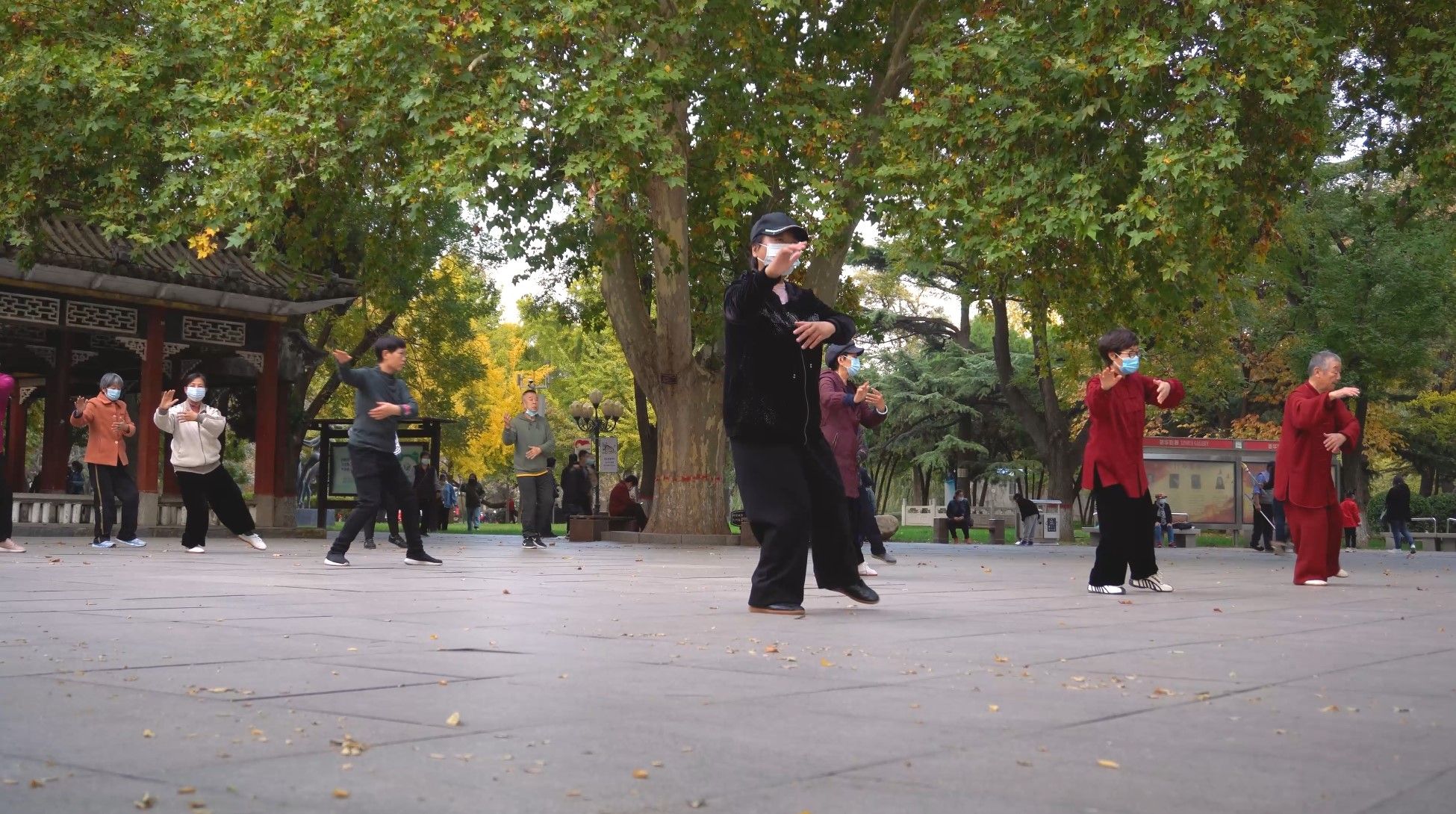 中老年人腿软无力是什么原因,老年人腿发软怎么回事