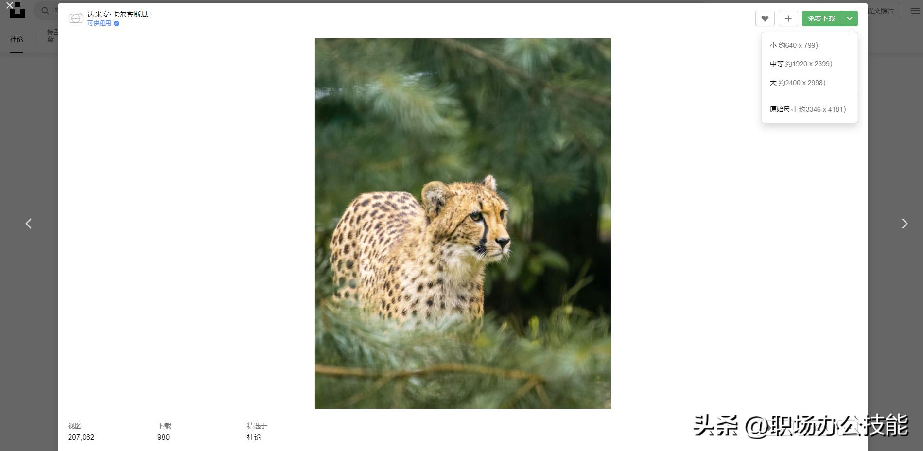 设计师图片素材网站,设计师必备免费素材网站