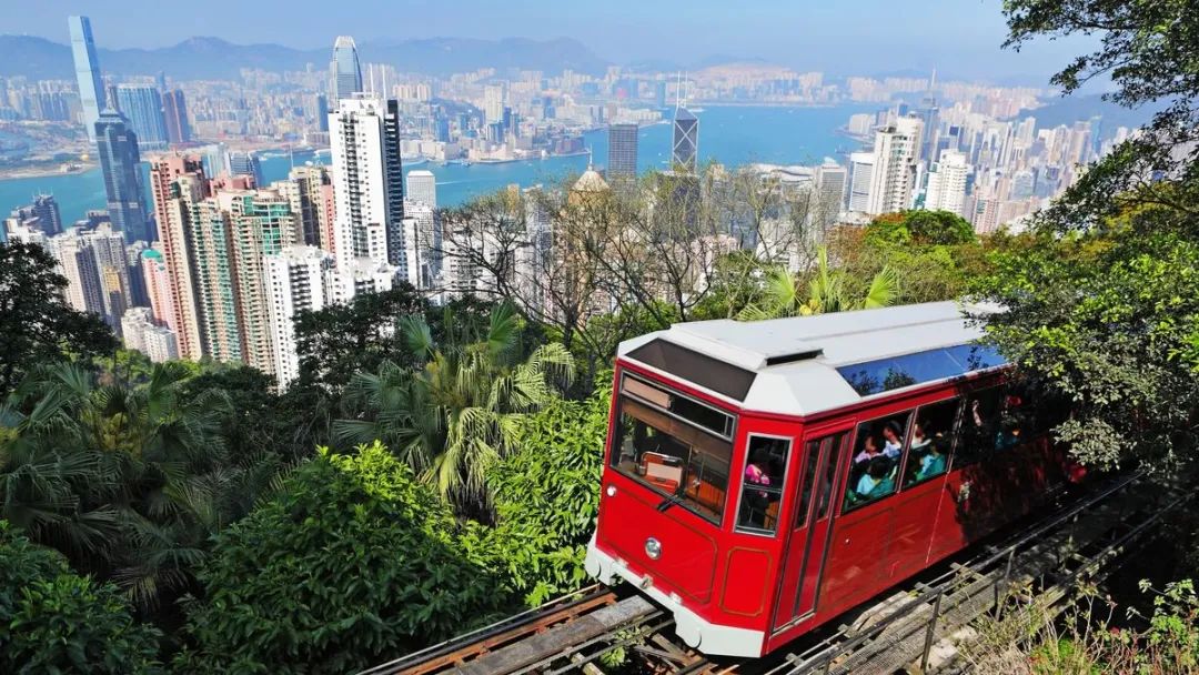 4个取消所有COVID-19旅行限制的国家地区