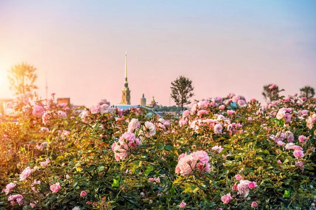 俄罗斯金环,俄罗斯金环好玩吗