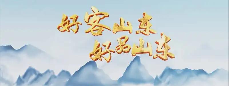 山东知名品牌和优质品牌揭晓,山东省2020中国品牌价值完整榜单