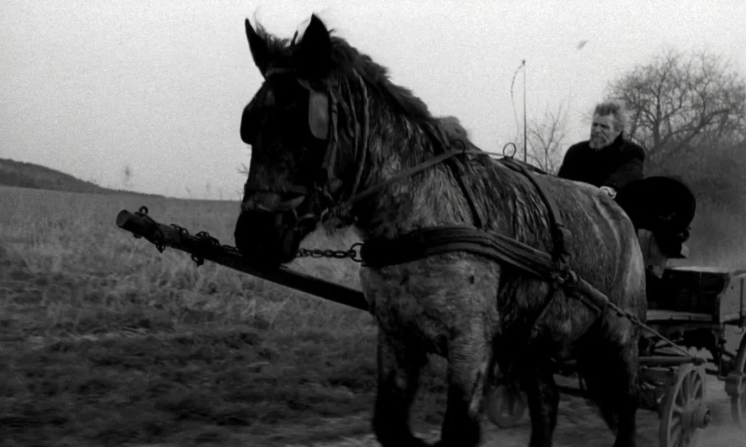 人类应该如何追求自由？