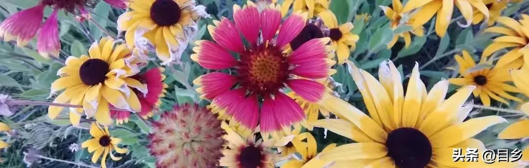 县局局长晋升方向,县级局局长什么级别