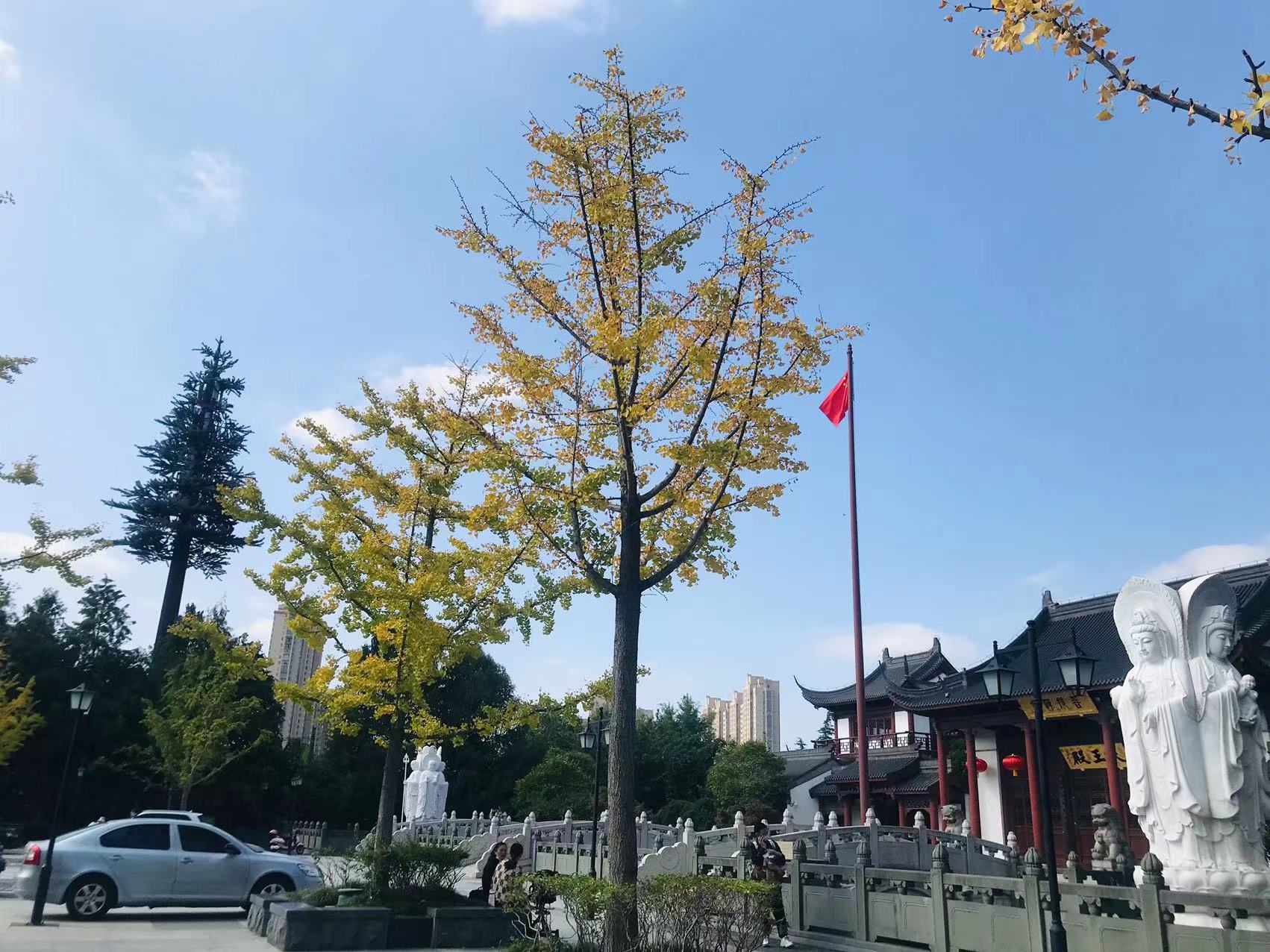 州桥老街和安亭老街哪个好,州桥老街安亭老街