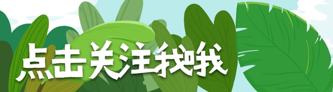 自考本科拿学位证难吗现在怎么办,自考本科的学位证有必要拿吗