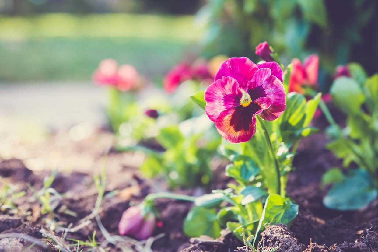 夫妻之间没有共同使用的三样东西,夫妻之间不要共用三样东西