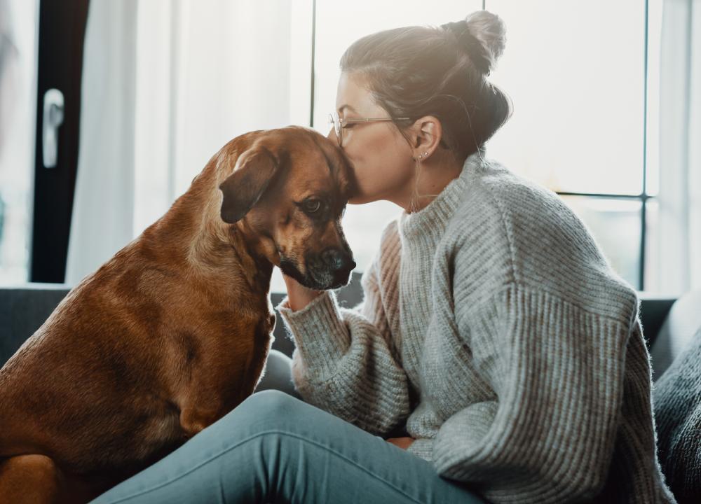 狗狗吃东西错误喂法,狗狗吃东西快怎么改正