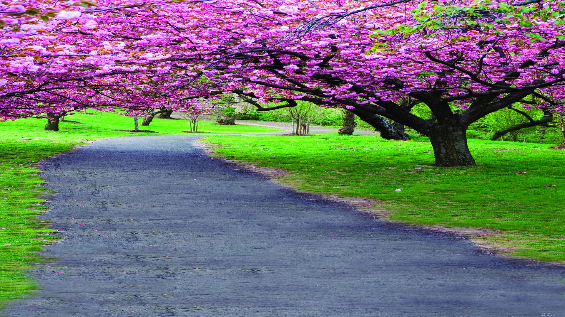 高一写景散文阅读答题,写景抒情散文阅读理解技巧