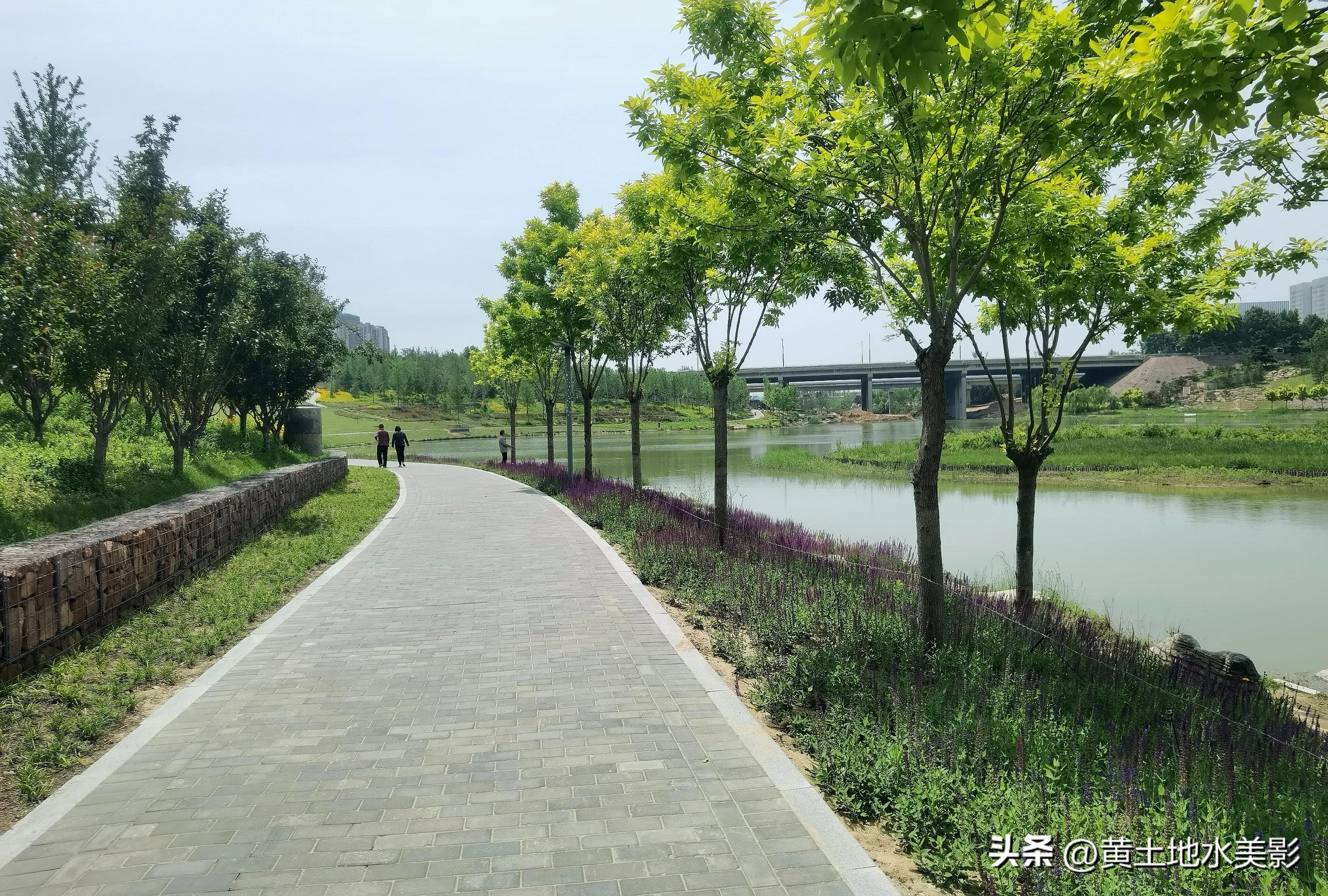 郑州象湖生态公园免费景点推荐,绿湖湿地公园河南