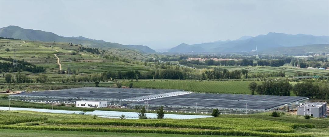 新建育苗工厂助力农业现代化,工厂化育苗基地建设