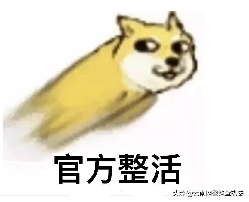 有人薅羊毛赚了20多万?你可别羡慕