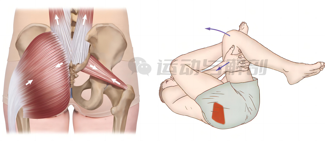 久坐僵硬的锻炼方法,久坐肌肉酸痛怎么缓解