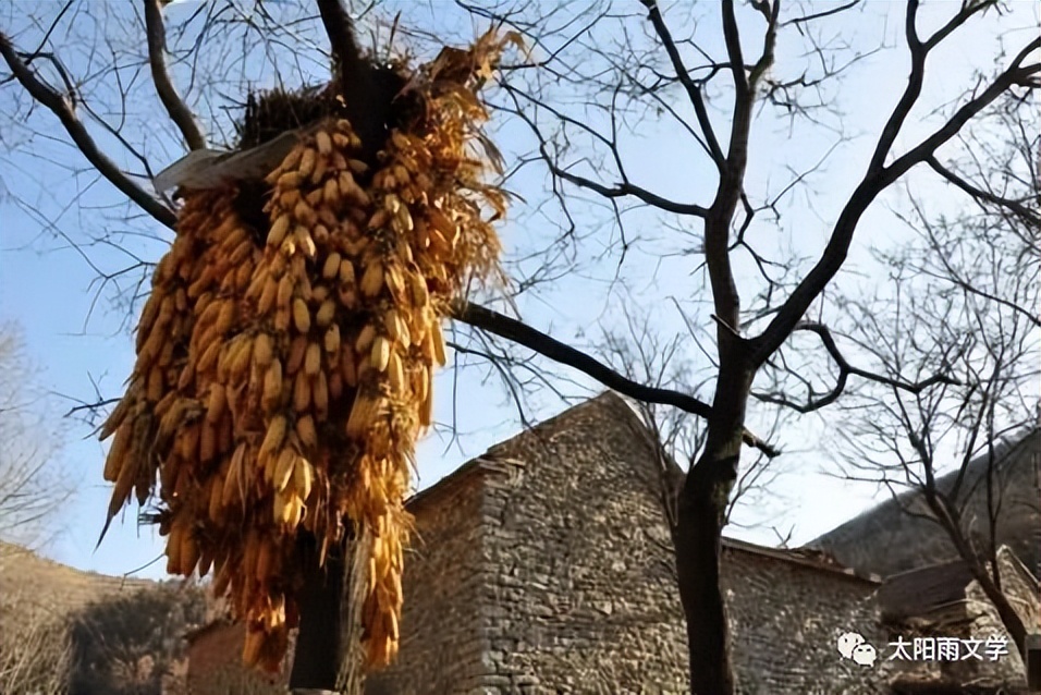 吴海燕30岁,夏天吴海燕