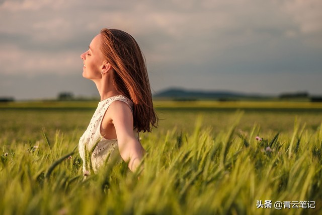 全面了解德国风俗习惯,德国风俗业合法化带来的危害
