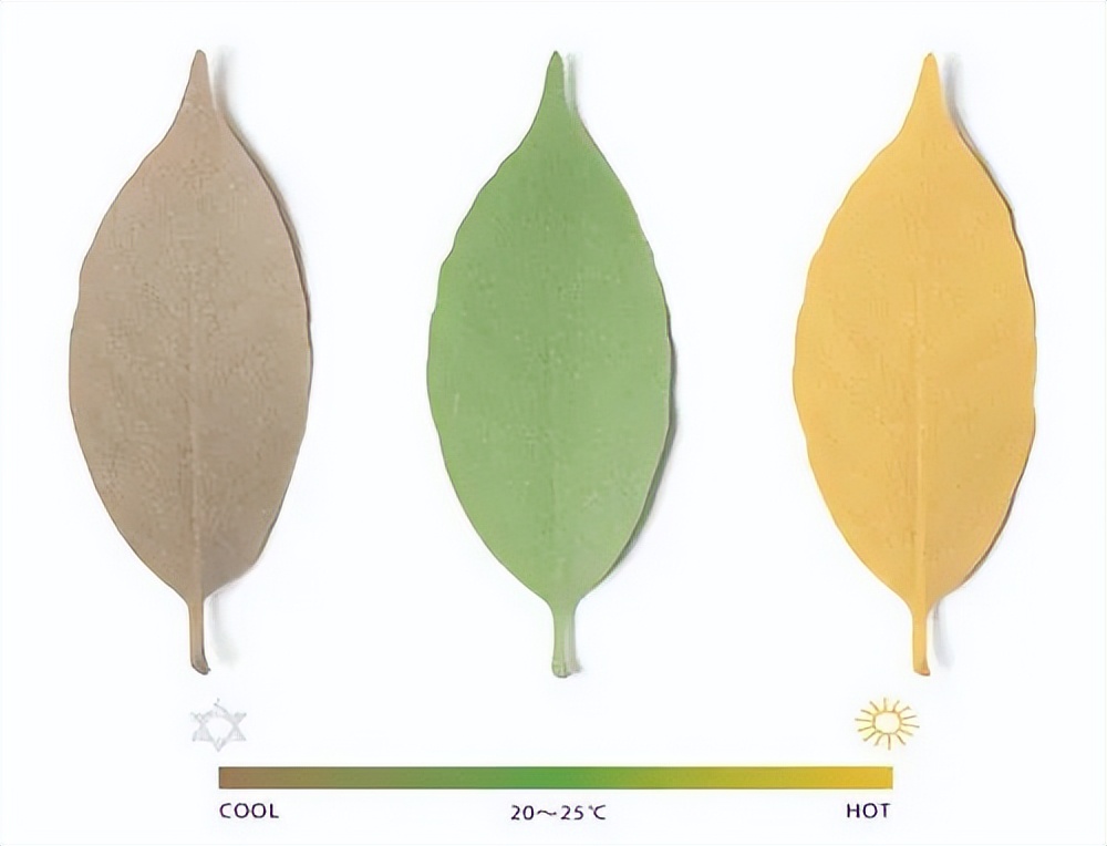 奇奇怪怪又可可爱爱的杂货,都在日本人玩不完的脑洞里