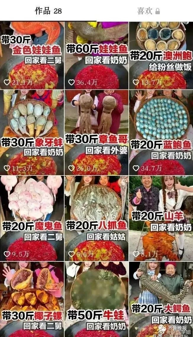 百万网红提子啃食鲨鱼原视频,四川网红提子吃鲨鱼完整视频