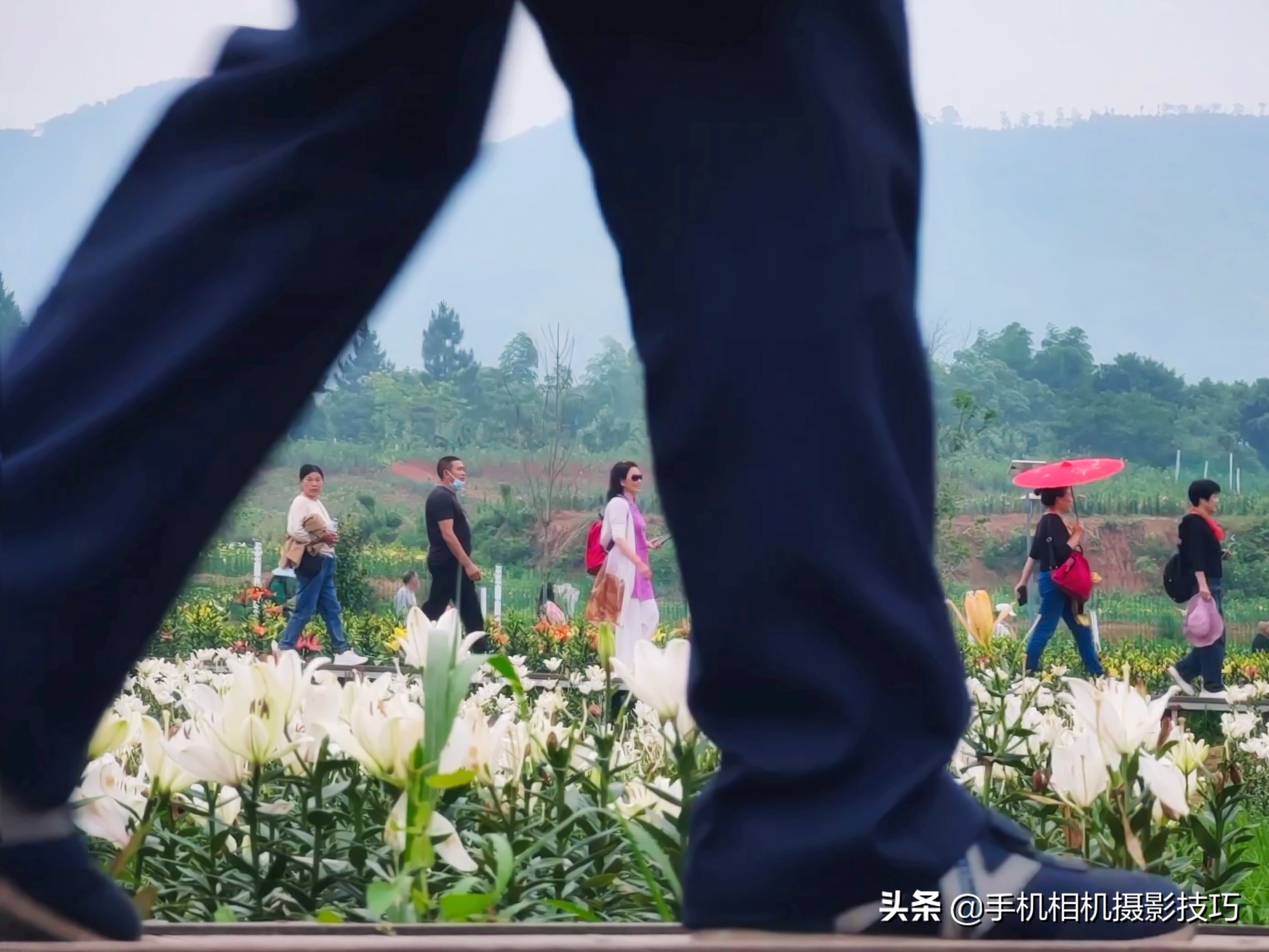 8个小技巧教你拍出高逼格的照片,教你四招如何拍出好看的照片