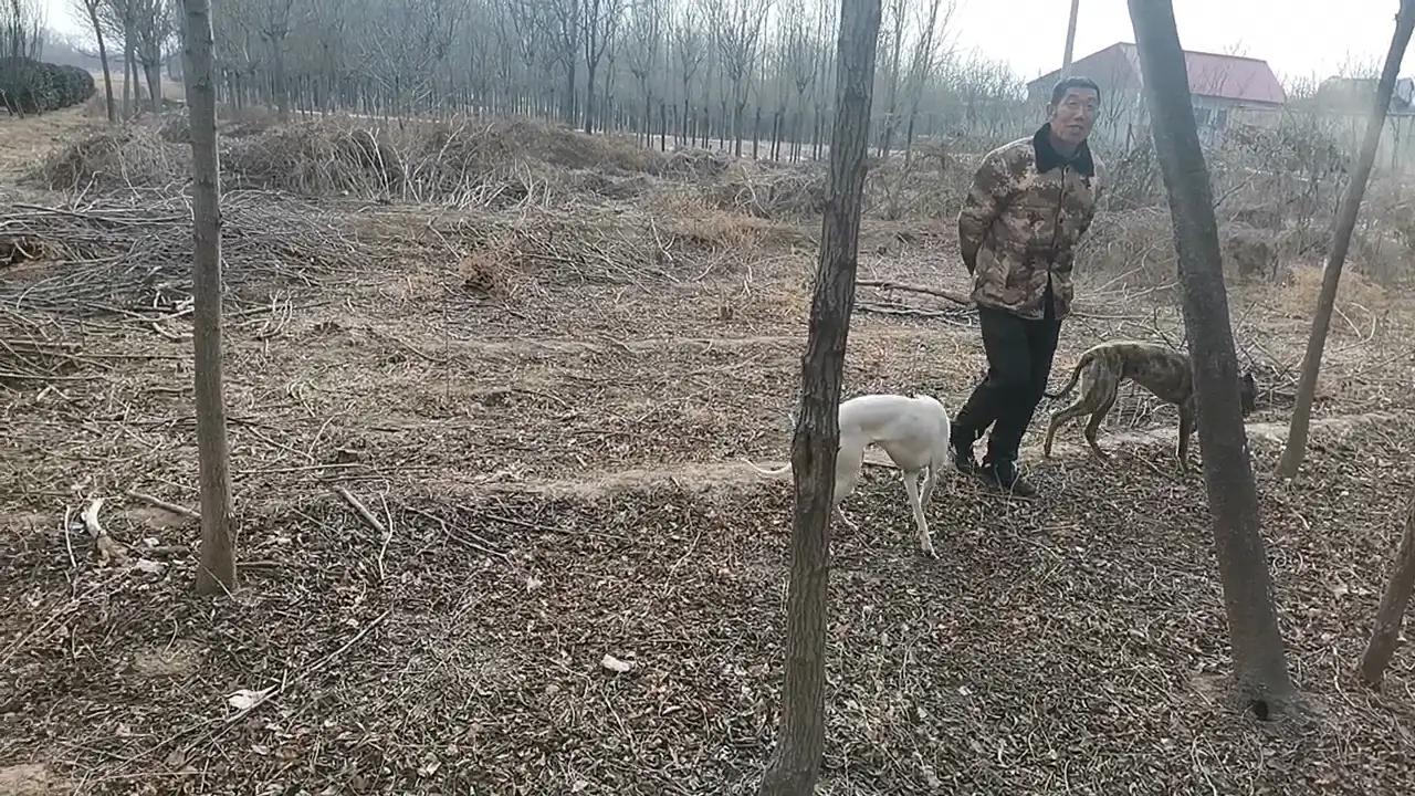 多种捕猎工具,夜视仪狩猎神器3k