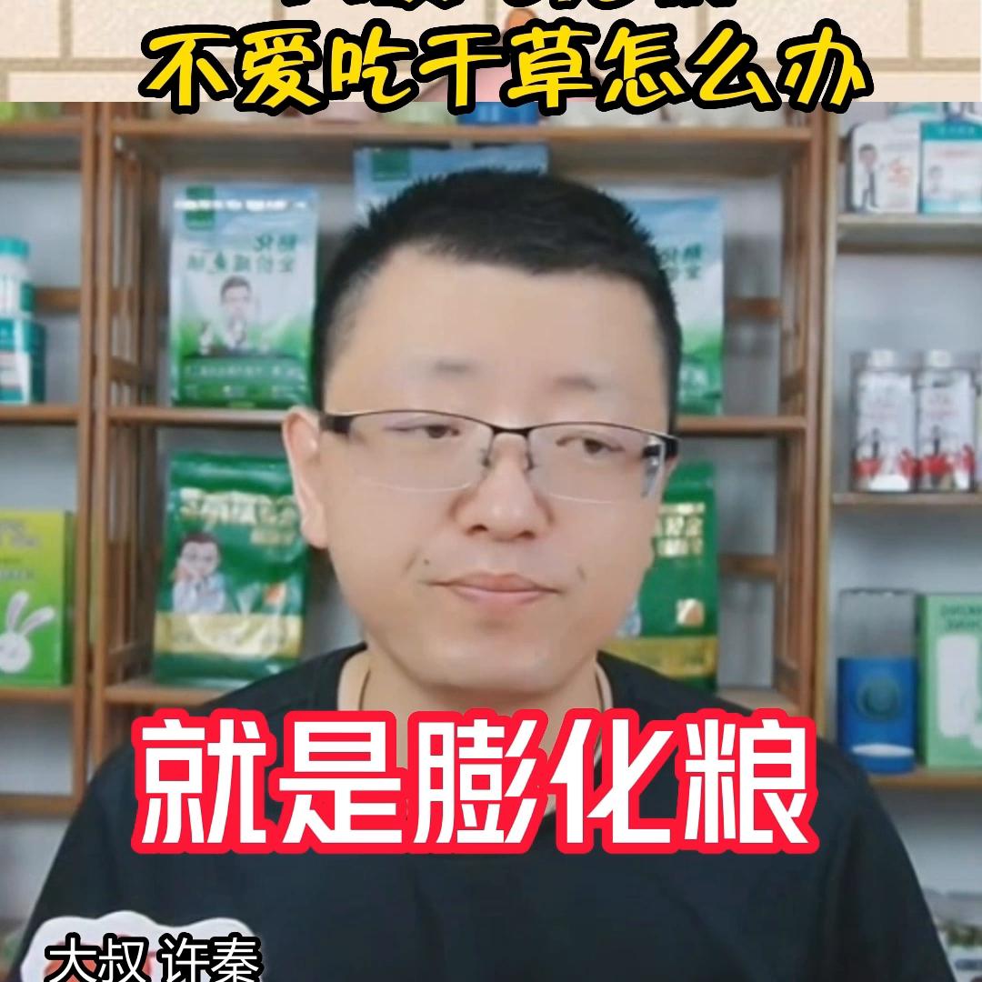 兔子挑食光兔粮不吃草怎么办,兔子不爱吃草怎么办