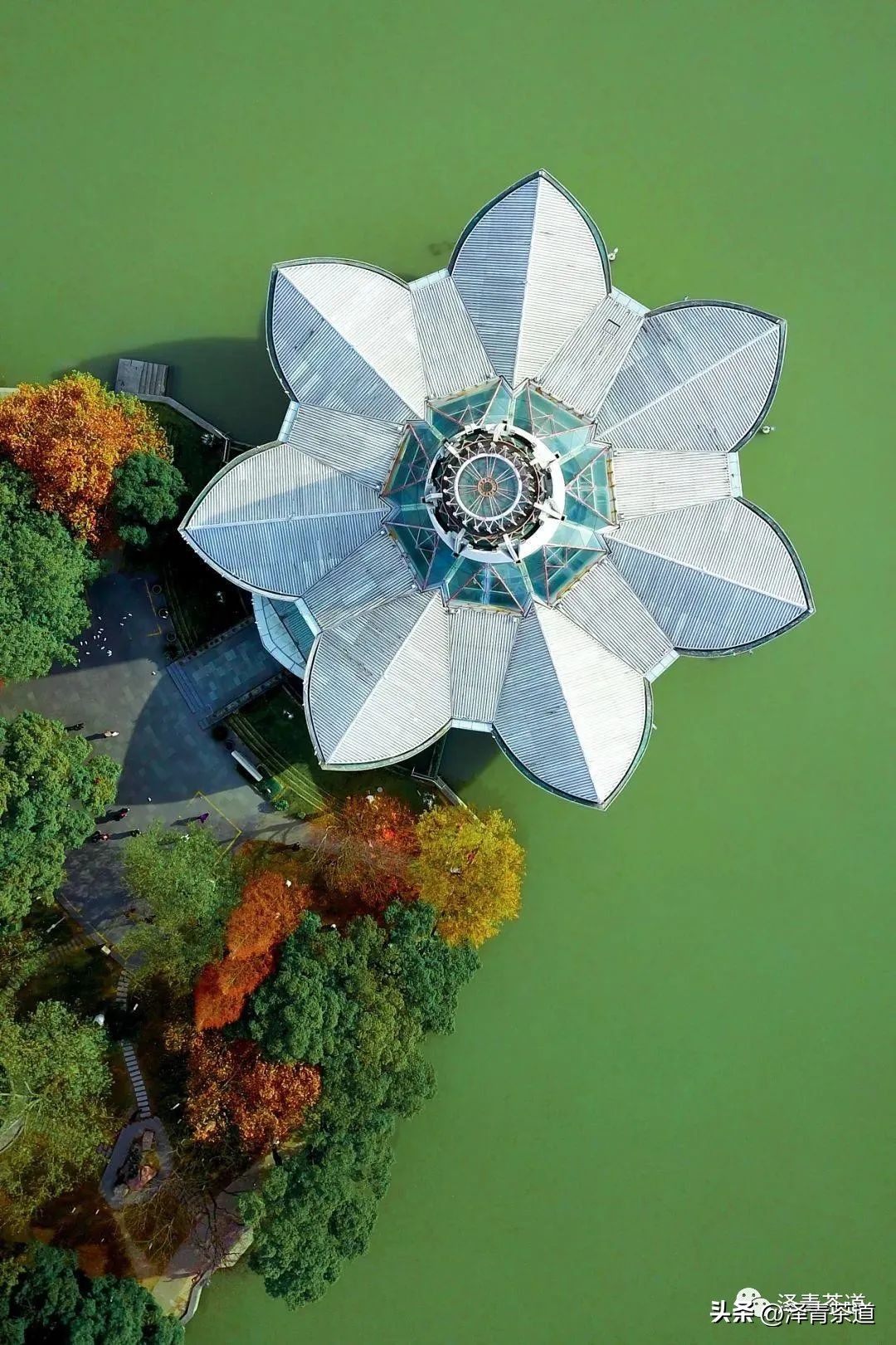 中国茶叶第一产茶大省,陕西中国茶叶第一大省