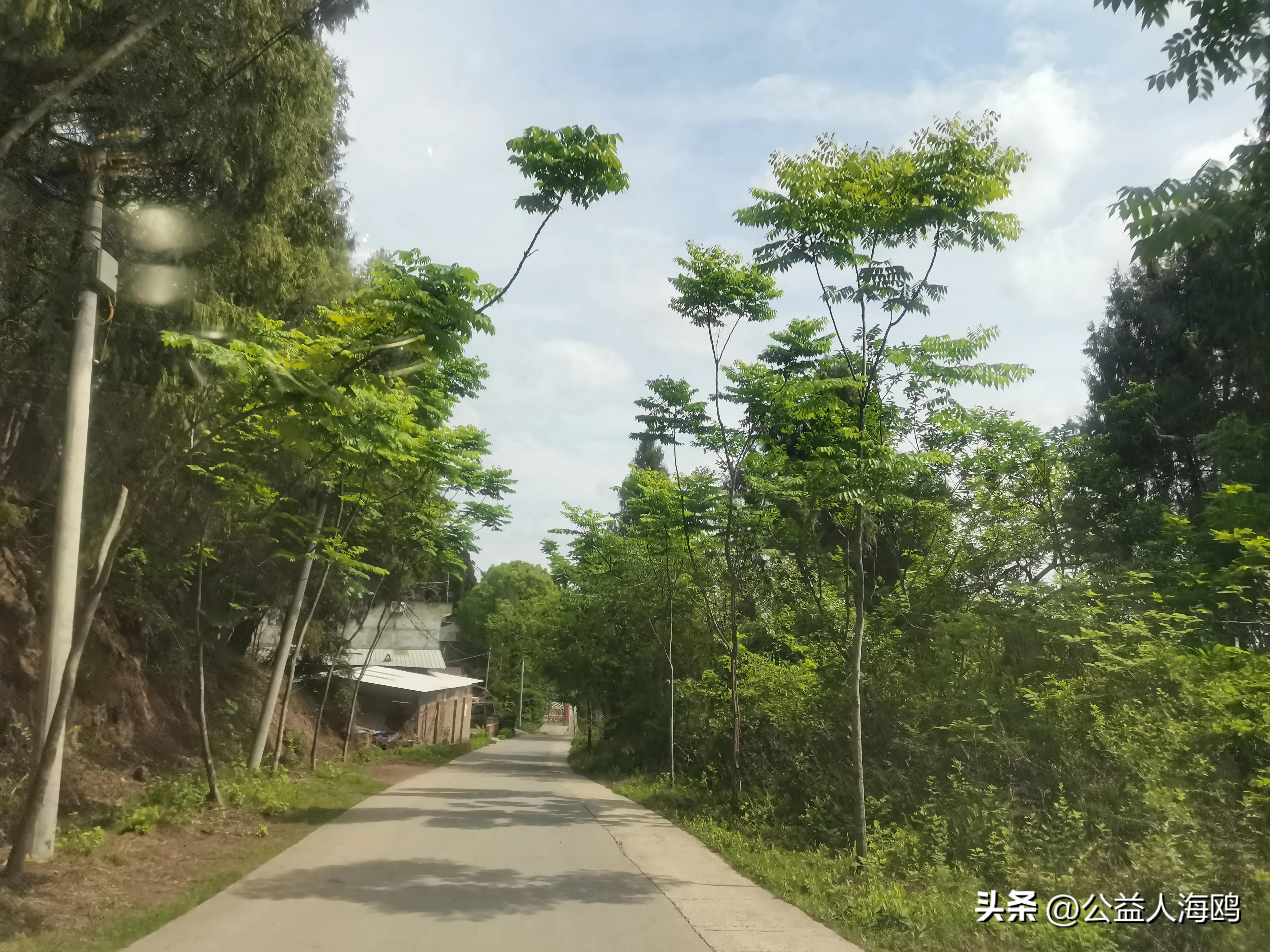 真爱回眸05：《为春荣的坚强报之以歌的幸福屋》