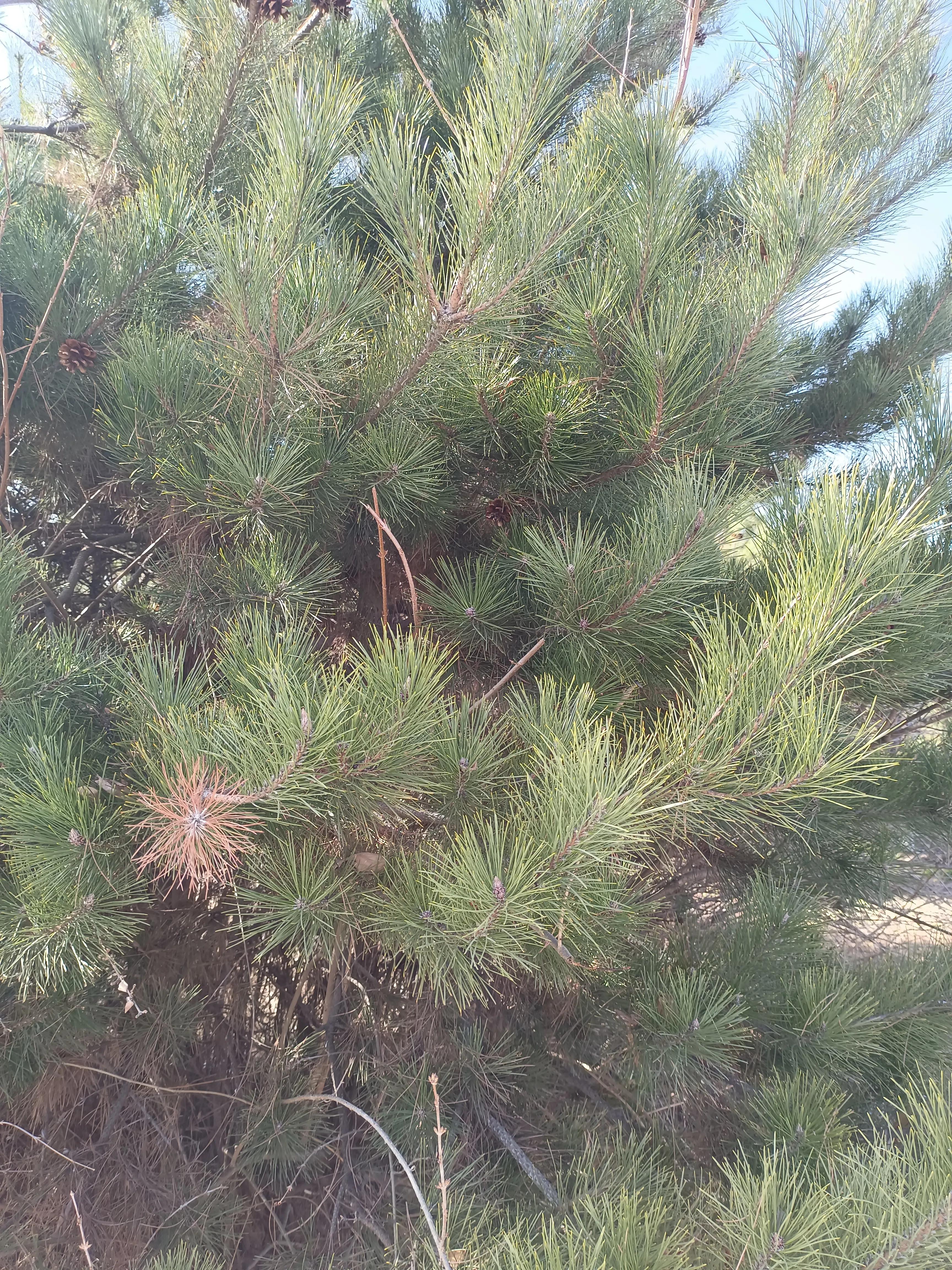 初中数学中考题易错题,初中数学易错的概率题