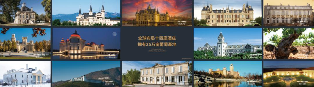 张裕葡萄酒文化活动,张裕70年传承创新和国际化