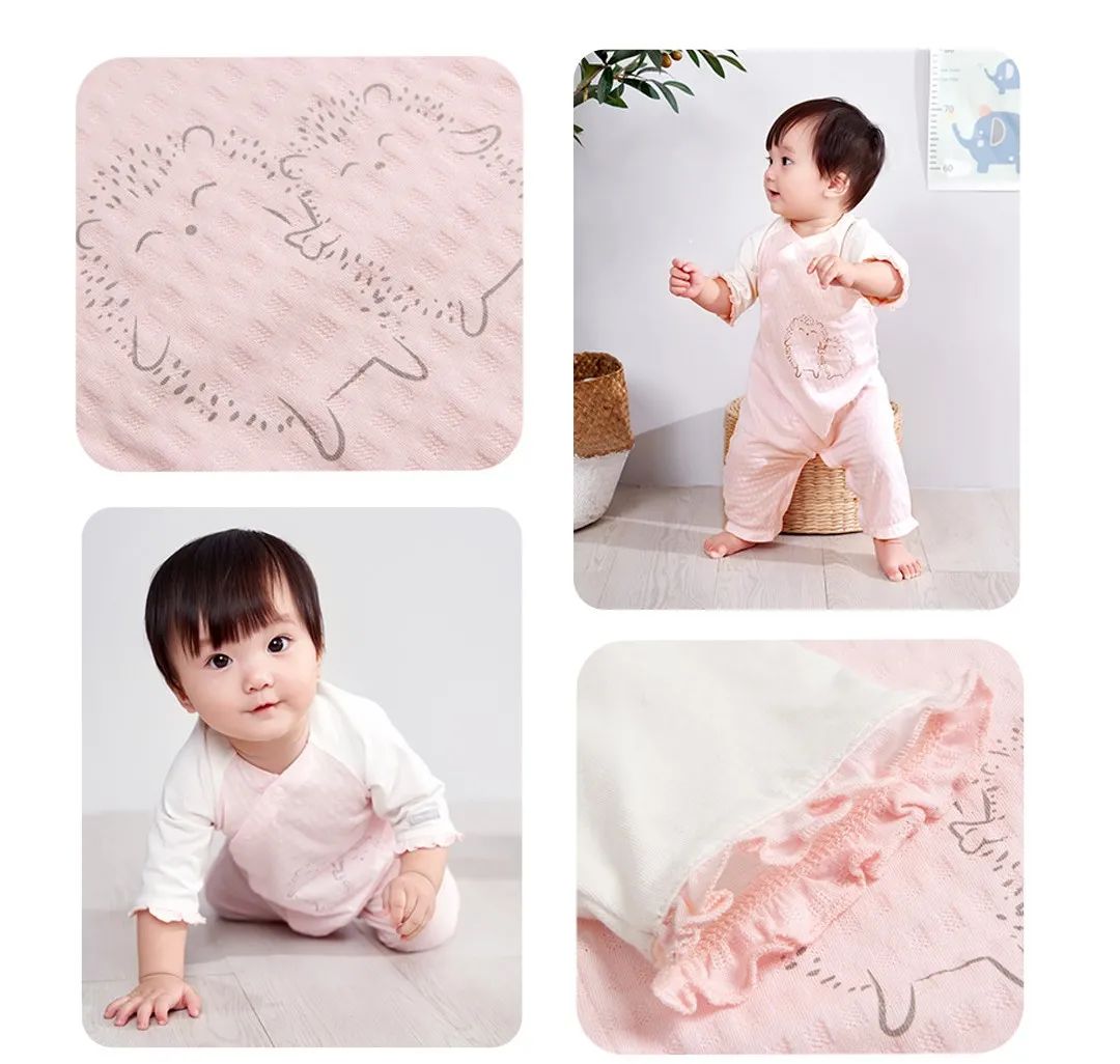 babybean夏上新丨两只小刺猬，软萌治愈上线