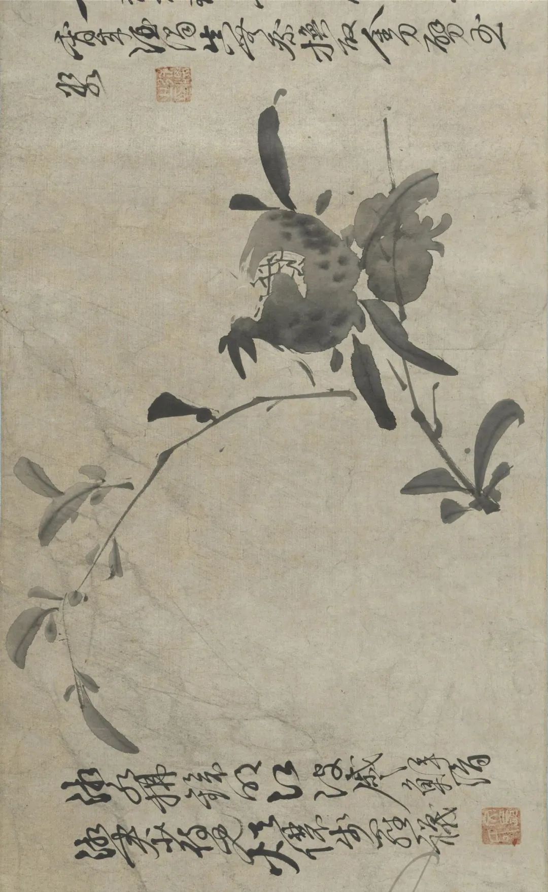 慕容看世界的视频,慕容看世界所有视频