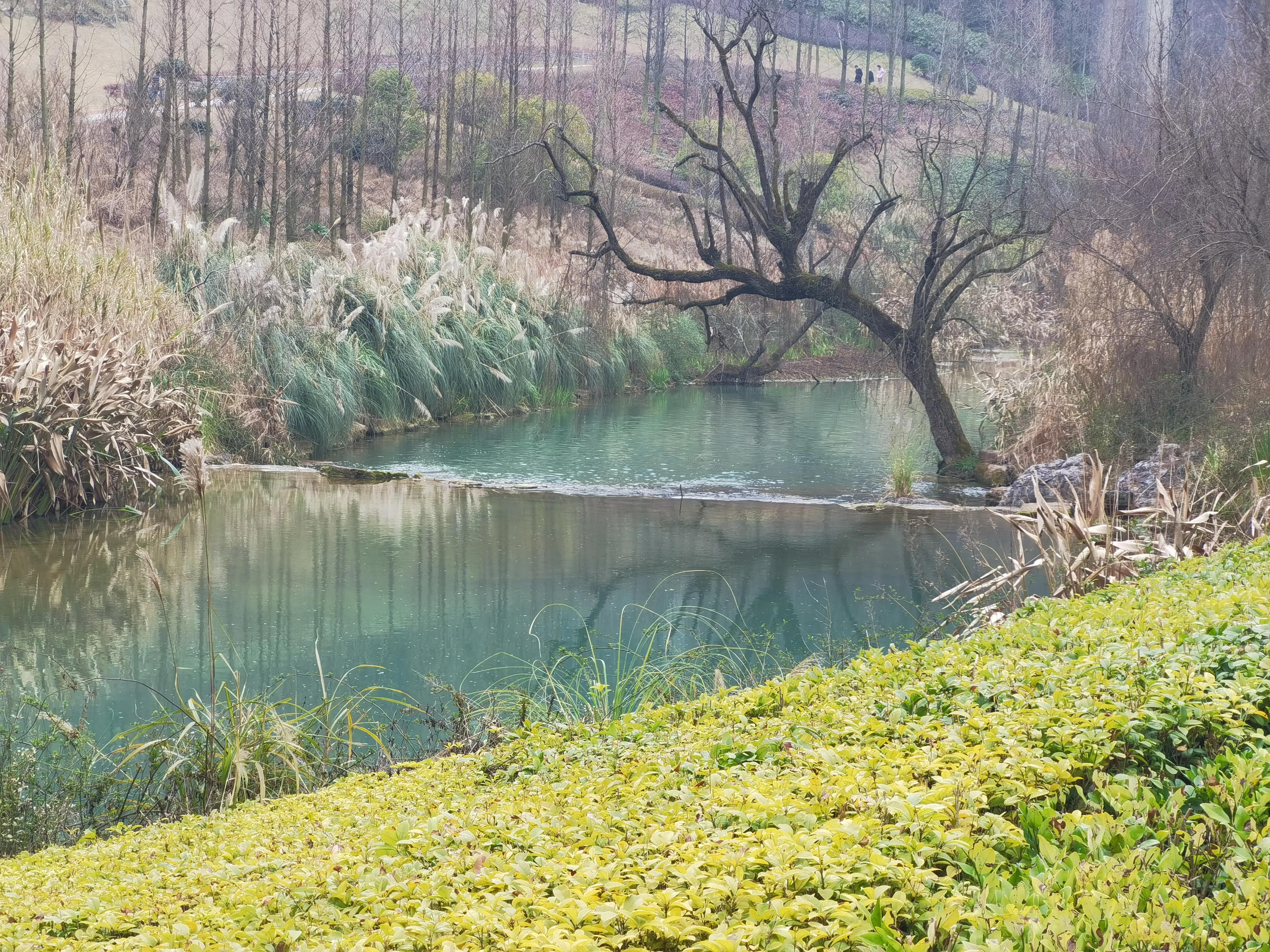 贵阳双龙生态公园怎么样,贵阳菊海双龙生态公园房价