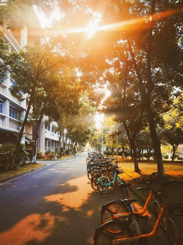 成都高校现在对外开放了吗,成都高校最新消息