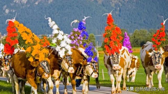 蒙古女儿出嫁陪嫁五十匹马,蒙古族陪嫁礼单