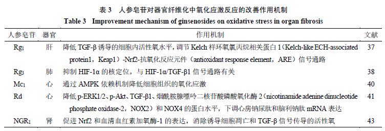 人参皂苷抗器官纤维化