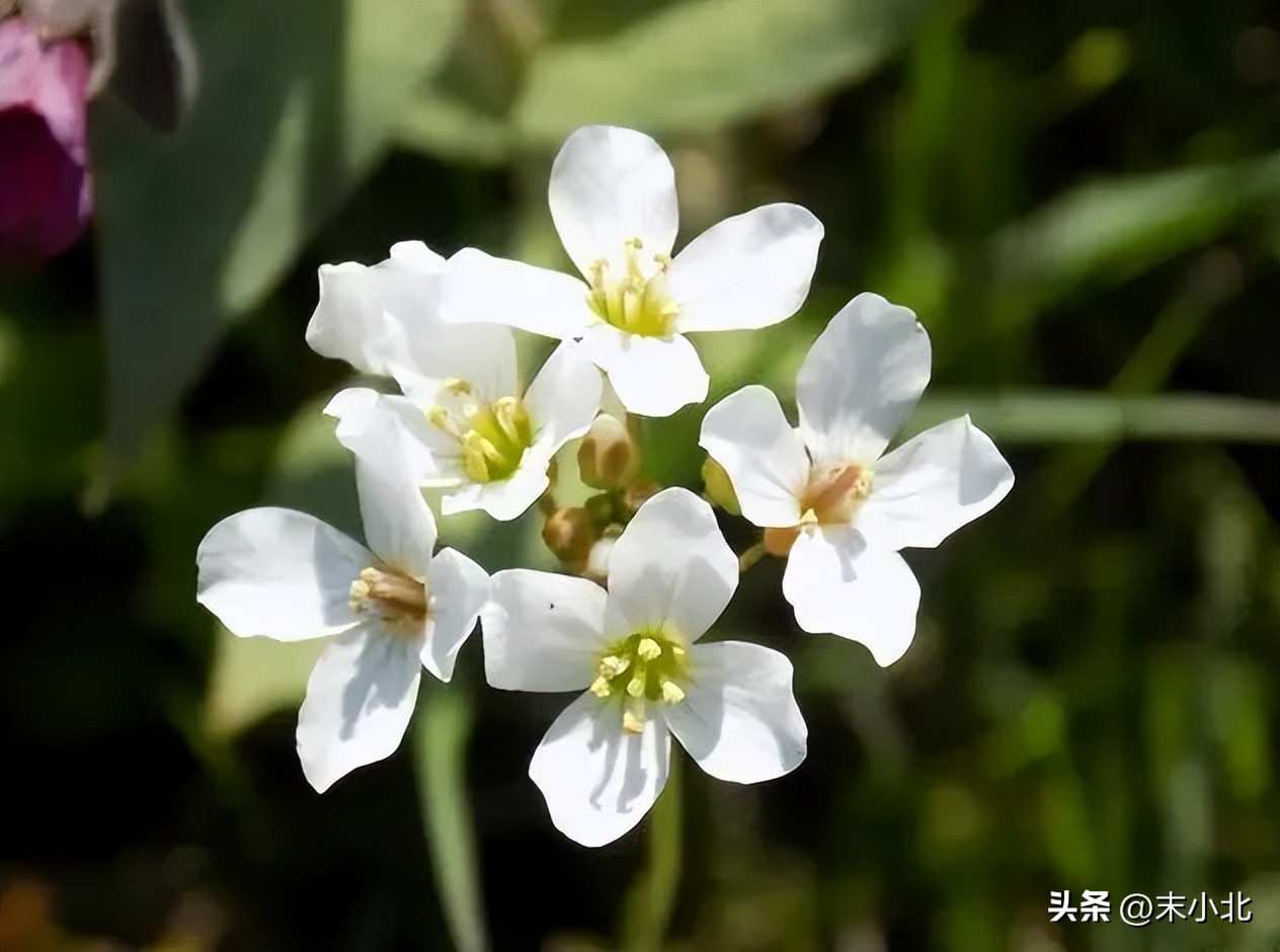 孤僻不愿意交流的人,一个人不想跟人说话是什么情况