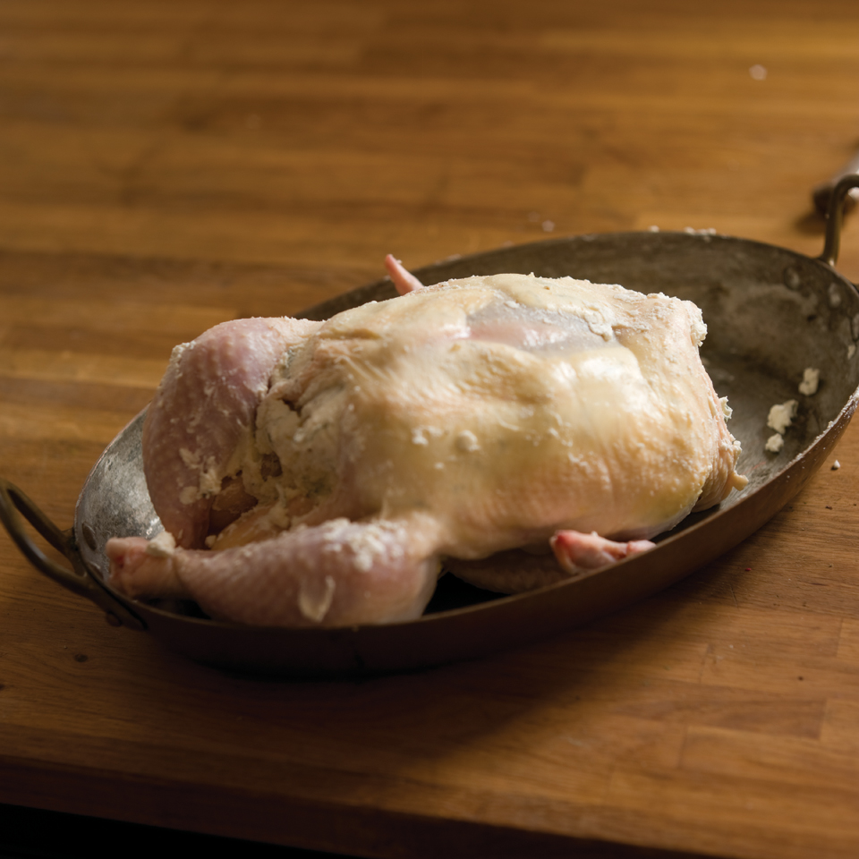 怎样选鸡肉好吃,如何选择鸡肉