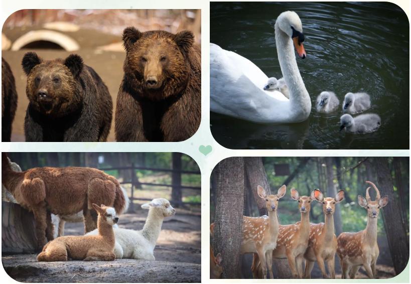 沈阳3天2夜游玩攻略,沈阳三日游攻略最新一期