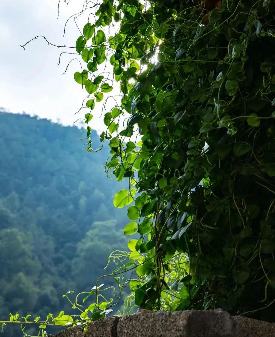 福州周边古村落景区推荐,福州附近最有特色古镇古村